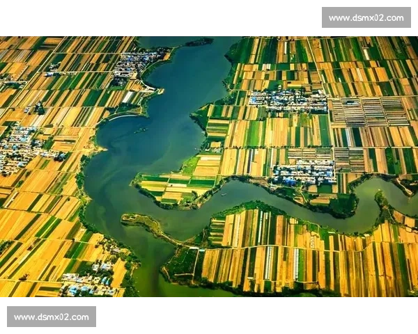 聚焦三枪比赛全景解析竞技魅力与规则发展新趋势历史观赏训练国际