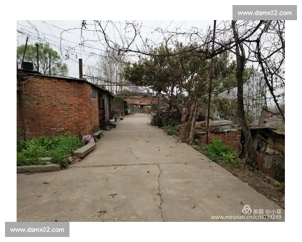 回望2017英雄联盟全球总决赛的巅峰对决与时代记忆传奇篇章之